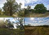 11595 Fm 2028 - Photo 35