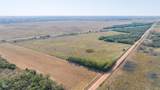 41.6 Acres Cr 138 - Photo 11
