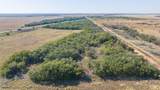 41.6 Acres Cr 138 - Photo 12