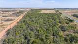 41.6 Acres Cr 138 - Photo 4