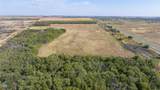 41.6 Acres Cr 138 - Photo 5