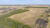 41.6 Acres Cr 138 - Photo 6