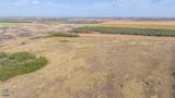 41.6 Acres Cr 138 - Photo 7