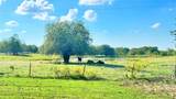 1258 County Road 352 Road - Photo 2