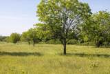 11701 Bowden Road - Photo 5