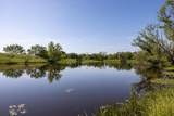 11701 Bowden Road - Photo 7