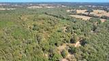 TBD Cr 3201 Whitmore Rd - Photo 13