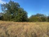 TBD Farm Road 79 - Photo 5