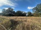 TBD Farm Road 79 - Photo 6