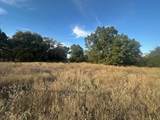 TBD Farm Road 79 - Photo 7