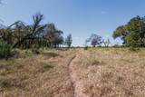 342 Tatanka Trail - Photo 15