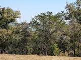 10048 Blanco Springs Road - Photo 18