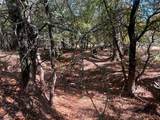 TBD Uselton Road - Photo 2
