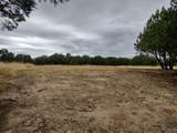 1007 Apache Trail - Photo 9