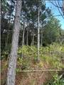 TBD County Road 1582 - Photo 5