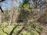 Lot 8 County Road 3401 - Photo 38