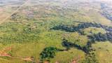 TBD Tract 6 50 Acres Boren Road - Photo 3