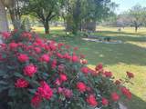 4536 County Road 132 - Photo 8