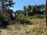 TBD Highway 80 - Photo 9