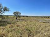 310 County Road 621 - Photo 4
