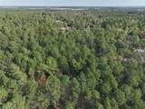TBD Tallowood Drive - Photo 3
