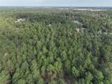 TBD Tallowood Drive - Photo 4
