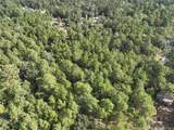TBD Tallowood Drive - Photo 6
