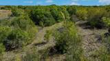 53.9 Acres Hwy 82 - Photo 21