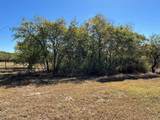 1036 Mallard Pointe Drive - Photo 26