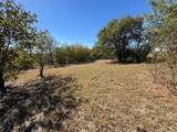 1036 Mallard Pointe Drive - Photo 29