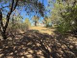 1036 Mallard Pointe Drive - Photo 36