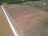 9133 County Road 101A - Photo 3