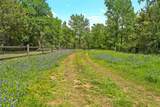 59 ac. Grove Creek D Logue Lane - Photo 10