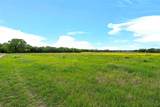 59 ac. Grove Creek D Logue Lane - Photo 21