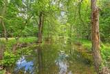 59 ac. Grove Creek D Logue Lane - Photo 8