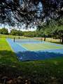 0 Palomino Court - Photo 5