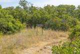 447 County Road 411 - Photo 14