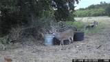 447 County Road 411 - Photo 39