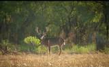 4538 County Road 463 - Photo 40