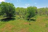 36 Acres Fm 2210 - Photo 11
