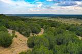 79 Acres Halsell Ranch Road - Photo 12