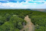 79 Acres Halsell Ranch Road - Photo 14