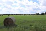 36 ACRES Fm 1749 - Photo 5