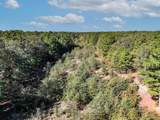 000 County Road 3235 - Photo 8
