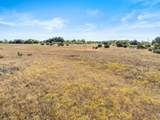 TBD-82.6 Acres Farm Market 221 - Photo 13