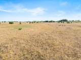 TBD-82.6 Acres Farm Market 221 - Photo 15
