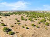 TBD-82.6 Acres Farm Market 221 - Photo 20