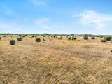 TBD-82.6 Acres Farm Market 221 - Photo 21