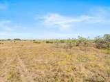 TBD-82.6 Acres Farm Market 221 - Photo 29