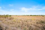TBD-82.6 Acres Farm Market 221 - Photo 4